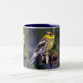 Cape May Warbler, Vogelarten Zweifarbige Tasse (Mittel)