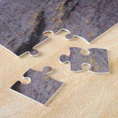 Cape Neddick Least Sandpiper Puzzle (Seite)