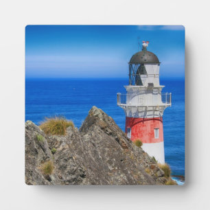 Cape Palliser Neuseeland Leuchtturm Fotoplatte