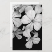 Cape-Plumbago Briefpapier (Vorne/Hinten)