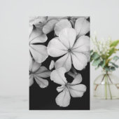 Cape-Plumbago Briefpapier (Stehend Vorderseite)