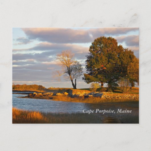 Cape Porpoise, Maine Postkarte (Vorderseite)