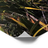 Cape Reinga Poster (Ecke)