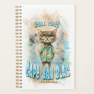 Cape San Blas Florida Beach Cat Planer