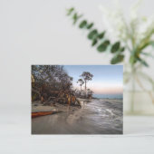 Cape San Blas, Florida Postkarte (Stehend Vorderseite)