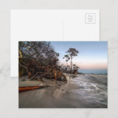 Cape San Blas, Florida Postkarte (Vorne/Hinten)