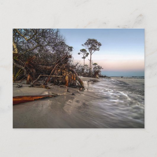 Cape San Blas, Florida Postkarte (Vorderseite)