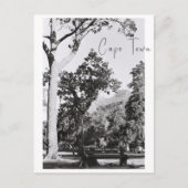 Cape Town Park Naturpark Berg Südafrika Postkarte (Vorderseite)