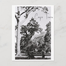 Cape Town Park Naturpark Berg Südafrika Postkarte