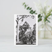 Cape Town Park Naturpark Berg Südafrika Postkarte (Stehend Vorderseite)