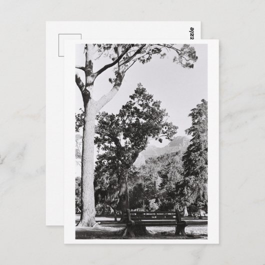 Cape Town Park Naturpark Berg Südafrika Postkarte (Vorne/Hinten)