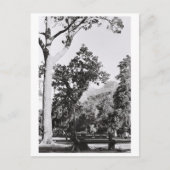 Cape Town Park Naturpark Berg Südafrika Postkarte (Vorderseite)