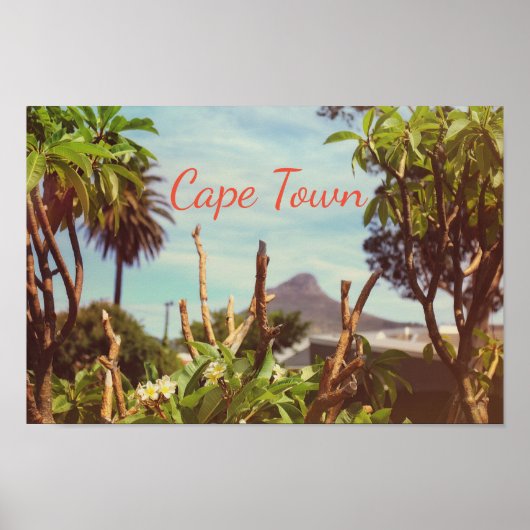 Cape Town Table Mountain Lion's Head Poster (Vorne)