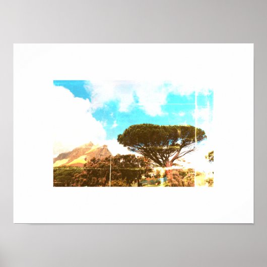 Cape Town Table Mountain Pine Tree View Poster (Vorne)