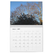 Cape Woodscapes    2015 Kalender (Mär 2027)