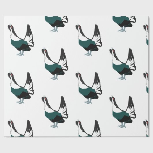 Capercaillie Vogel Art Glossy Wrapping Paper Geschenkpapier (Flach)