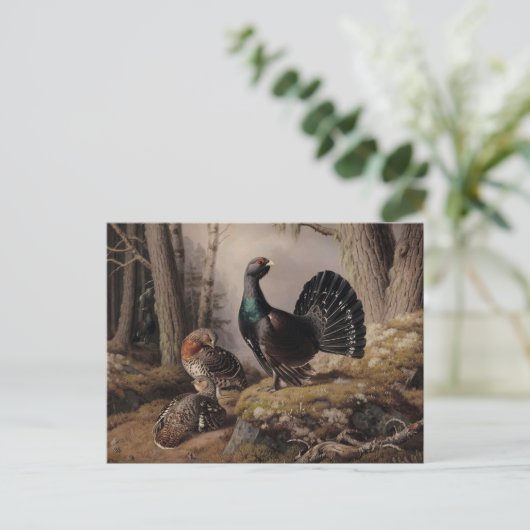 Capercaillies Coursing von Ferdinand von Wright Postkarte (Stehend Vorderseite)