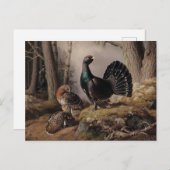 Capercaillies Coursing von Ferdinand von Wright Postkarte (Vorne/Hinten)