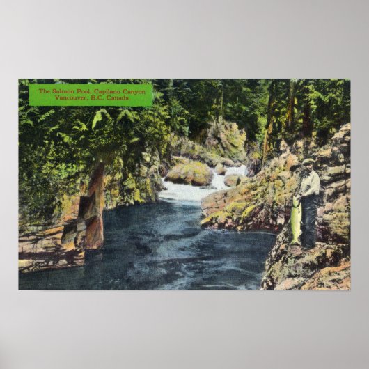 Capilano Canyon Blick auf den Lachspool Poster (Vorne)