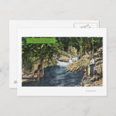 Capilano Canyon Blick auf den Lachspool Postkarte (Vorne/Hinten)