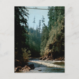 Capilano Hängebrücke Vintage Flussblick Postkarte