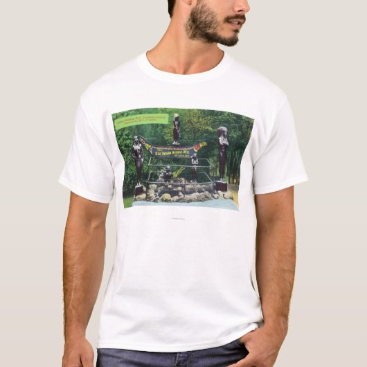 Capilano Schlucht-Inder, der wohle Ansicht wünscht T-Shirt (Vorderseite)