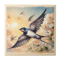 Capistrano Barn Schluchten Golden Sunset