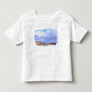 Capitol Reef National Park, Utah. USA. Cumulus Kleinkind T-shirt