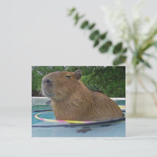 Caplin Rous mit Hoola Hoops Postkarte (Stehend Vorderseite)