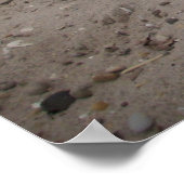 Capo von Oppenheim, Jack Russell Dog Poster (Ecke)