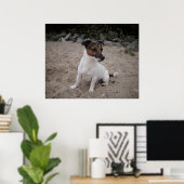 Capo von Oppenheim, Jack Russell Dog Poster (Heimbüro)