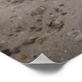 Capo von Oppenheim, Jack Russell Dog Poster (Ecke)