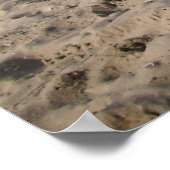 Capo von Oppenheim, Jack Russell Dog Poster (Ecke)