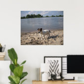 Capo von Oppenheim, Jack Russell Dog Poster (Heimbüro)