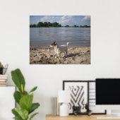 Capo von Oppenheim, Jack Russell Dog Poster (Heimbüro)