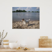 Capo von Oppenheim, Jack Russell Dog Poster (Küche)