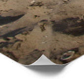 Capo von Oppenheim, Jack Russell Dog Poster (Ecke)