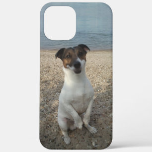 Capo von Oppenheim, Jack Russell Terrier Dog Case-Mate iPhone Hülle
