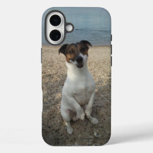 Capo von Oppenheim Jack Russell Terrier, Dog iPhone 16 Plus Hülle