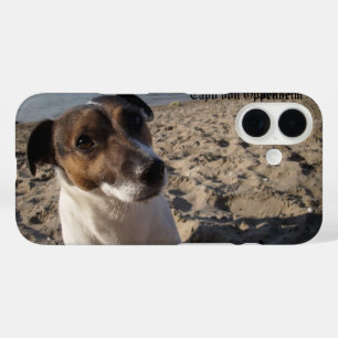 Capo von Oppenheim Jack Russell Terrier, Dog iPhone 16 Hülle