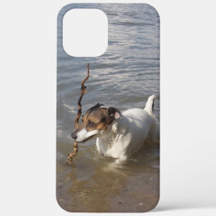 Capo von Oppenheim Jack Russell Terrier, Dog Case-Mate iPhone Hülle