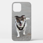 Capo von Oppenheim, Jack Russell Terrier Dog Case-Mate iPhone Hülle (Rückseite)