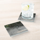 Capo von Oppenheim Jack Russell Terrier, Dog Glasuntersetzer (Schrägansicht)