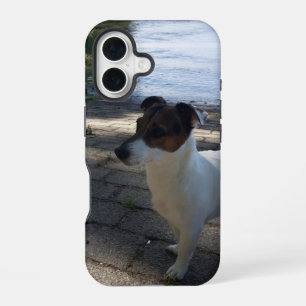 Capo von Oppenheim, Jack Russell Terrier Dog iPhone 16 Hülle