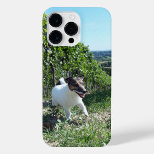 Capo von Oppenheim Jack Russell Terrier, Dog iPhone 14 Pro Max Hülle