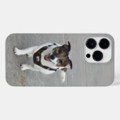 Capo von Oppenheim, Jack Russell Terrier Dog iPhone Hülle (Rückseite (Horizontal))