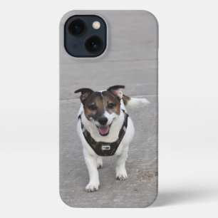 Capo von Oppenheim, Jack Russell Terrier Dog iPhone 13 Hülle