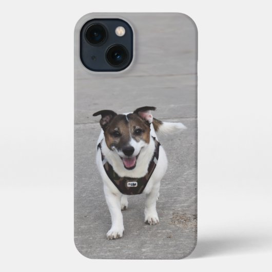 Capo von Oppenheim, Jack Russell Terrier Dog iPhone Hülle (Rückseite)