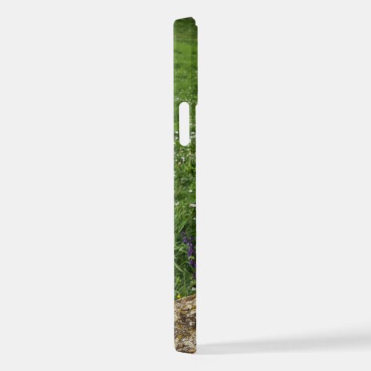 Capo von Oppenheim Jack Russell Terrier, Dog iPhone Hülle (Rechte Seite)