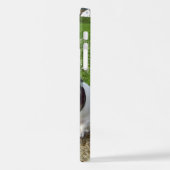 Capo von Oppenheim Jack Russell Terrier, Dog iPhone Hülle (Linke Seite)